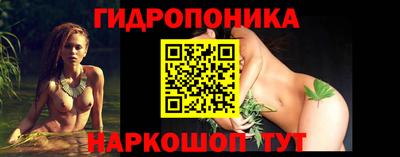 гидра Заводоуковск