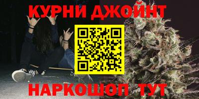 гидра Заводоуковск